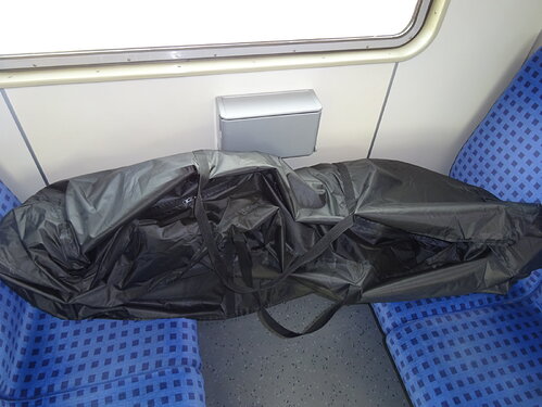 Anette_in_Tasche_02_S-Bahn
