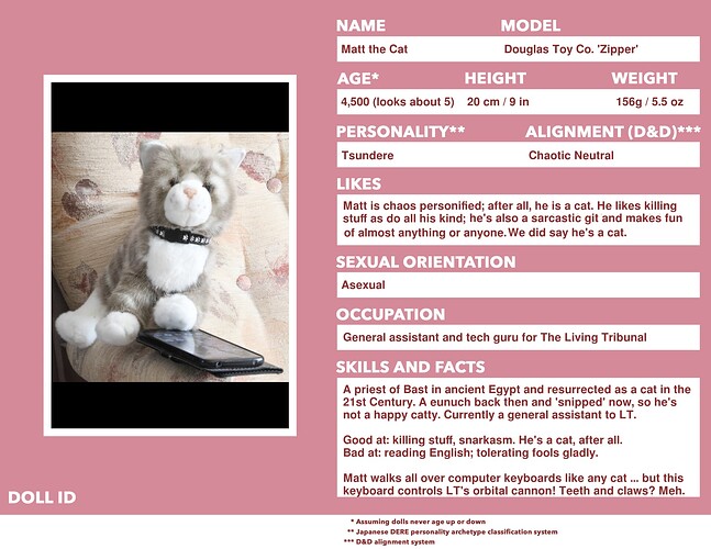 Doll ID - Matt - 1920 x 1583