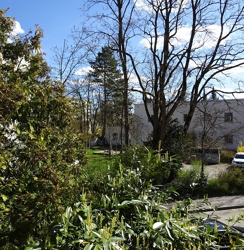 Petra_Green_08_Spring_Green