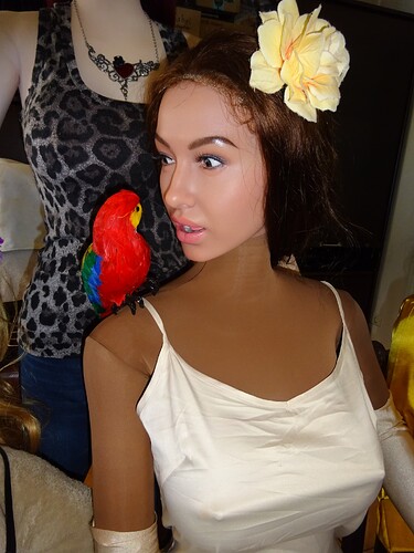 DSC03203