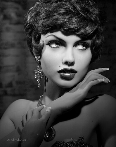 Gwynyd B&W Classy-2