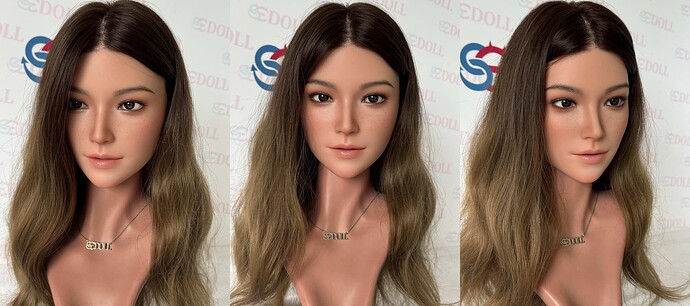 SES010-1