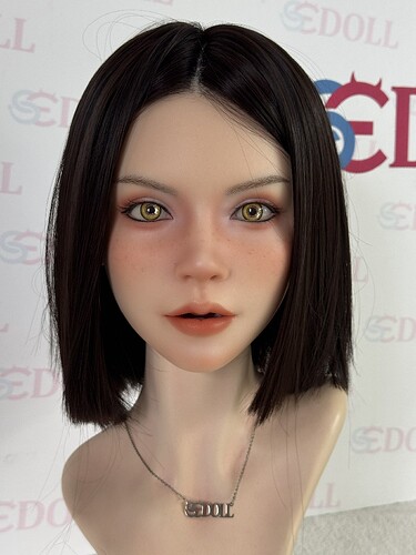 ses065 (1)