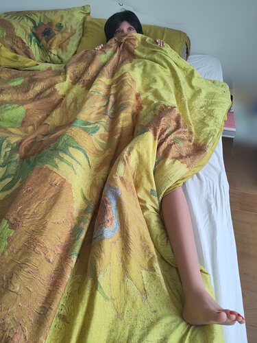 isa_bed