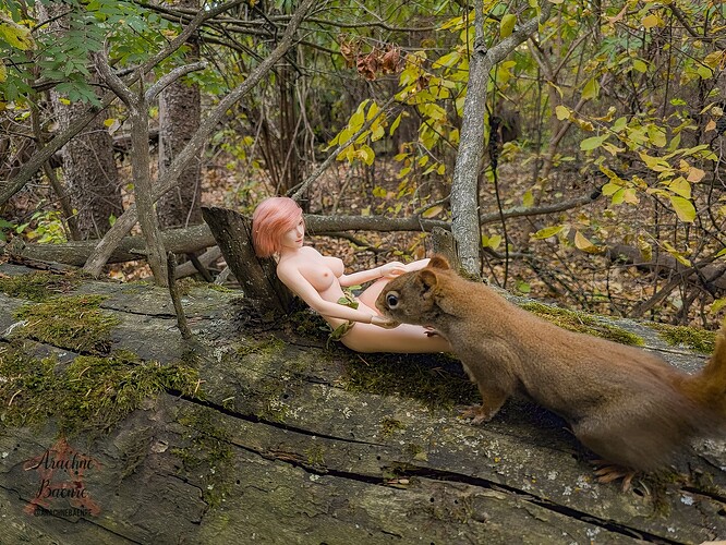 Rosebud in Feeding Forest Friends