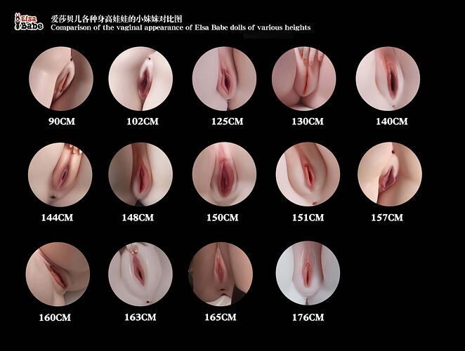 1-Comparison of the vaginal appearance of Elsa Babe dolls of various heights