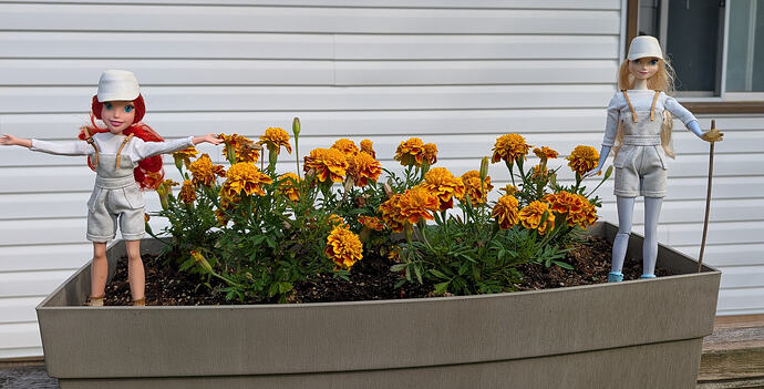 Garden3