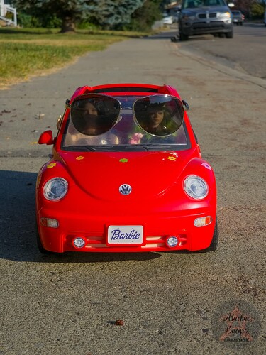 Aneka and Glissa in Sunshade Engaged