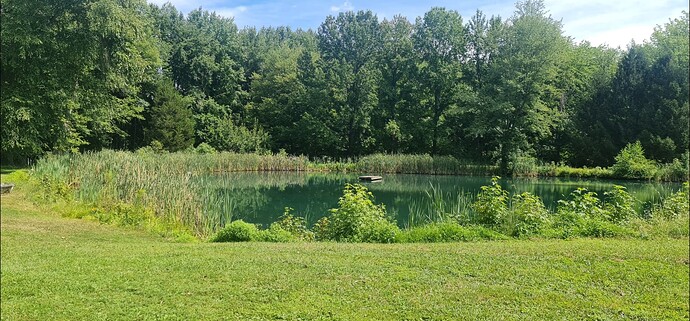 Screenshot_20250901_221539_Gallery