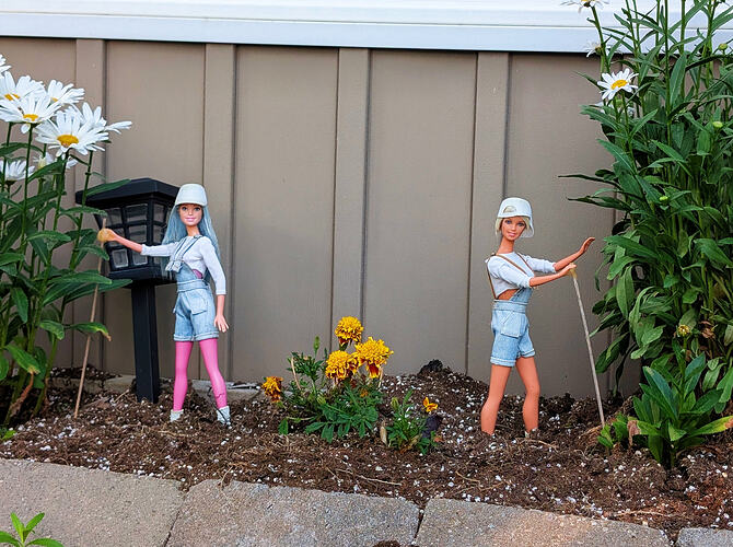 Garden8