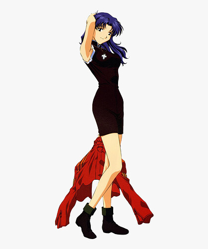 261-2613822_nge-icon-misato-katsuragi-hd-png-download