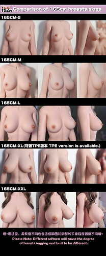1-Breasts Sizes-165CM