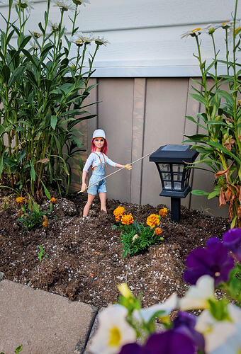 Garden7