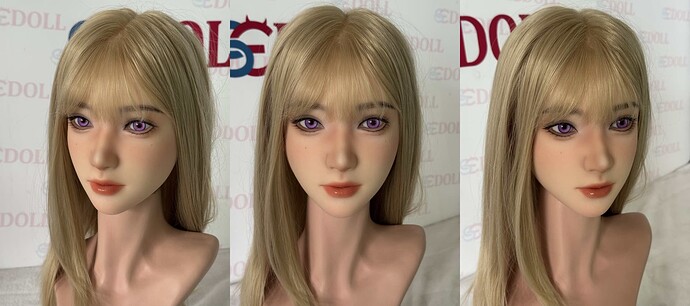 SES003
