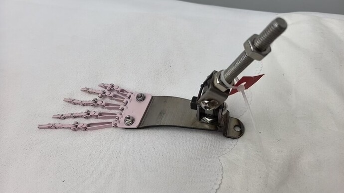 toe skeleton photo