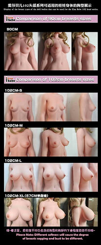 1-Display of the breast types of the doll bodies that can be used for the Elsa Babe 102 head series