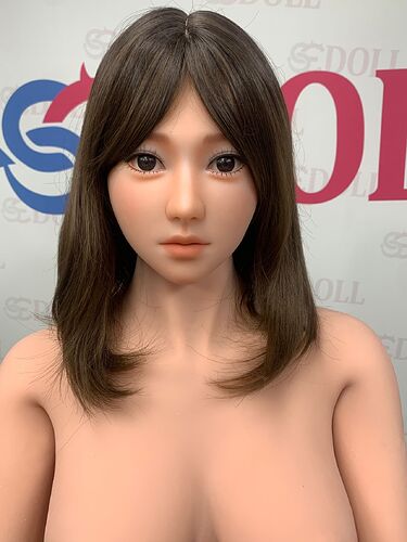 2504163 (11)