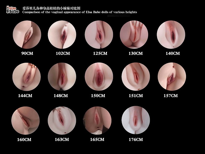 1-Comparison of the vaginal appearance of Elsa Babe dolls of various heights