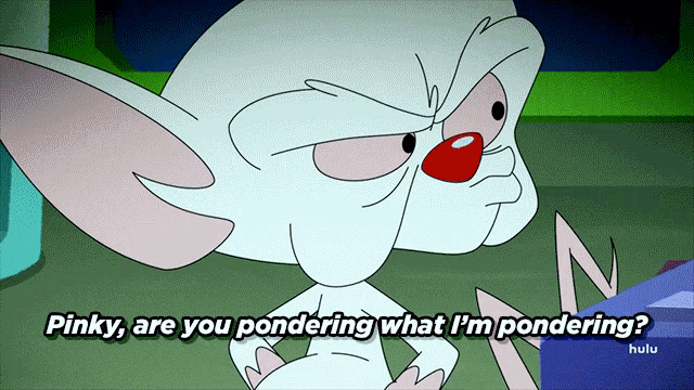 animaniacs-pinky-are-you-pondering-what-im-pondering