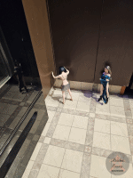 Teamwork 3.6 mb
